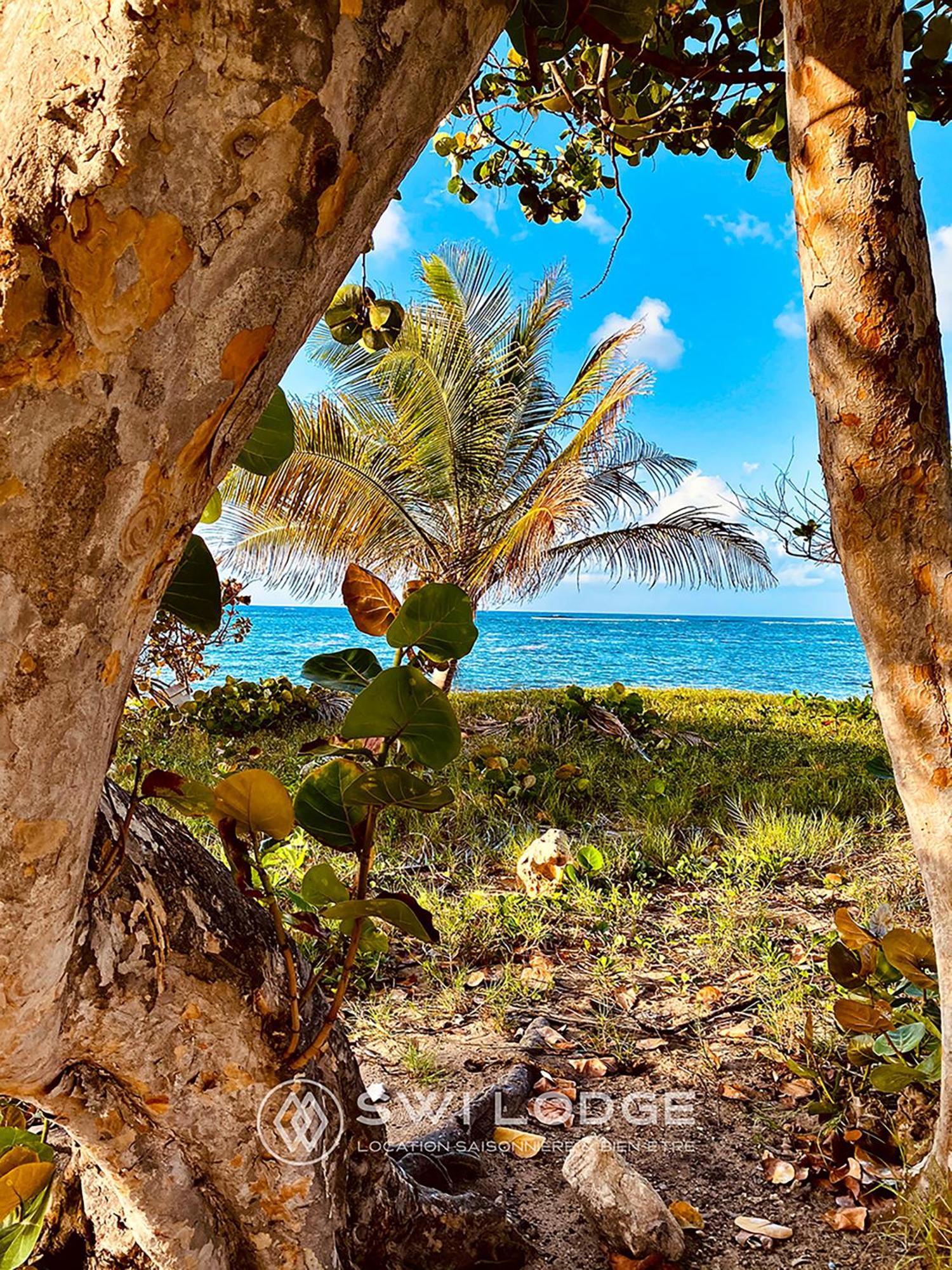 Swilodge Vue Sur Mer ! Petit Dejeuner Et Location De Voiture Possible Le Moule Luaran gambar